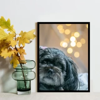 Top 8 Digital Photo Frames That Make Memories Shine