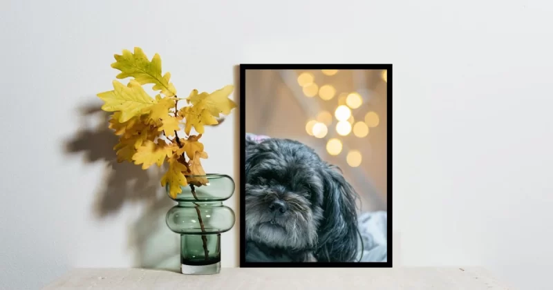 Top 8 Digital Photo Frames That Make Memories Shine